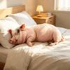 with Sound Pig Plush Toy Simulated Sleeping Simulation Pig Plush Doll Stuffed Pig Toy  Car Decor