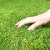 Domestic Artificial Grass 1m X 10m Grass Length 3cm Mildew Resistant Comes with 16 U-shaped Pins Balcony Garden Soft Texture and Real Touc