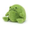 Ricky Rain Frog Plush Toy - Cartoon Stuffed Animal Doll  Cute Emotional Support Frog Toy for Stress Relief & Gift