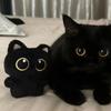 13 см милая черная кошка плюшевая игрушка кукла маленькая подвеска мягкая подушка подушка черная кошка плюшевая игрушка кукла для мальчика девочка подарки на день рождения