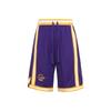 Спортивные баскетбольные брюки свободного покроя серии Knit Basketball Bottoms Men AAPR353-5