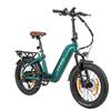 TTGO F8 City Hight-End Electric Bicycle 48V18Ah Battery 20 Inch Fat Tires 250W Motor 25 km/h Speed 150KG Load Outdoor Riding E-Bike