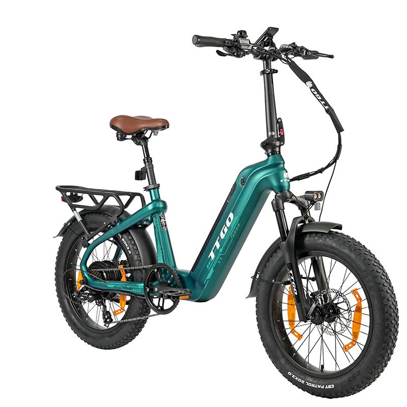 TTGO F8 City Hight-End Electric Bicycle 48V18Ah Battery 20 Inch Fat Tires 250W Motor 25 km/h Speed 150KG Load Outdoor Riding E-Bike