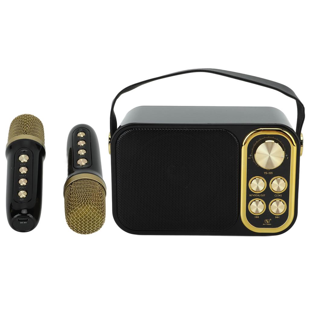 Караоке-машина с 2 микрофонами, караоке-машина «все в одном», портативная Bluetooth-машина для пения