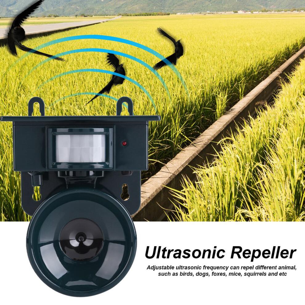 Répulsif anti-animaux d'extérieur, émetteur de signaux ultrasoniques et détecteur de mouvement pour la protection du jardin, résistant aux