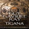 Tigana by Guy Gavriel Kay Paperback Book 9780007342044