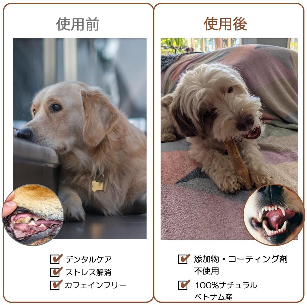 BETO PET Вьетнамская кофейная деревянная жевательная игрушка для собак Натуральное натуральное дерево Кофейное дерево Без кофеина Уход за полостью рта Номер продукта CC01 Без добавок 100% (2