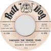 7-дюймовая пластинка SHAWN DOWNEY Through The Tender Years A Tear F 105PROMO BULL DOG US Rock Б/у