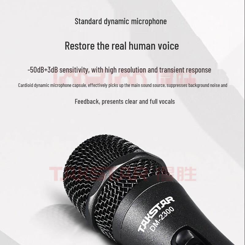 Takstar OP-6 Portable Wireless Karaoke & Guitar Performance Speaker (CN version)