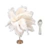 Ostrich Feather Table Lamp Rechargeable Modern Romantic Decoration Lamp Bedroom Bedside Lamp for