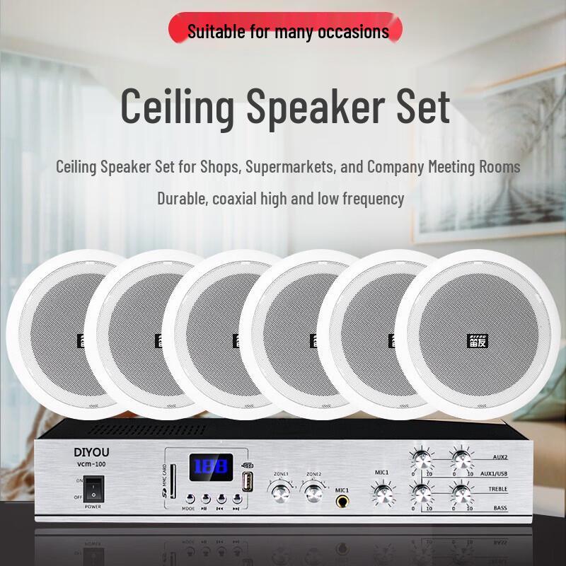 Diyou Ceiling Speaker & Amplifier Public Address System CN plug (adapter included) (CN version)