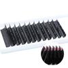 3D-6D W Shape Volume Eyelash Extension Individual False Eyelashes 3D 4D 5D Clover Lashes Private Label Lash Extensions