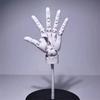 Модель руки с подвижными суставами Рисование Фигурка Эскиз Художник Живопись Скульптура Рука Палец Сустав Фигурка Figma Кукольный домик Украшение