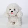 Electronic Walking Poodle Plush Toy, Realistic Interactive Puppy, Pet Dog, Walks, Barks, Wags Its Tail and Talks, Pet Gift for Boys and Girls Ages 3+