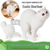 Плюшевая игрушка Рыжий Экзотический короткошерстный кот: Толстый, Сельский, Орнамент на тему истории