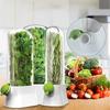 Herb Saver for Refrigerator Vegetable Preserving Bottle Fresh Herb Keeper Pod Cilantro Saver Container for Kitchen Storing Tool