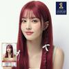 L'Oréal Paris Excellence Parisian Chic 10 цветов