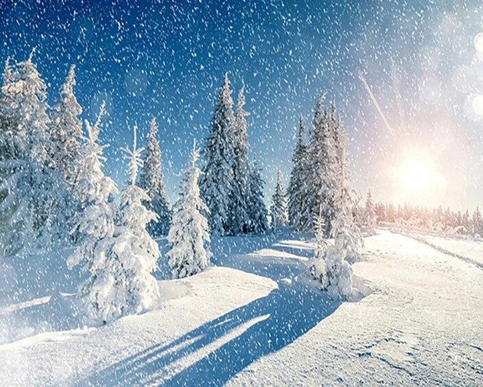 DIY 5D Diamond Painting House Diamond Embroidery Winter Snow Scenery Full Round Mosaic Resin Landscape Cross Stitch Kits