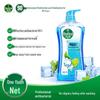Dettol Minty Fresh Shower Gel