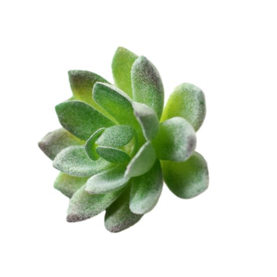 Micro Landscape Ornaments Ornament Simulation No Watering Realistic Tabletop Plant Flocking Texture Indoor Decorative Plants for Home Artificial