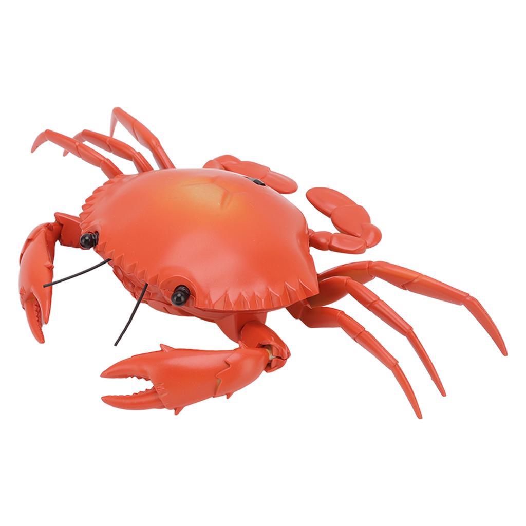 RC Crab Toy Educational Simulated Sea Life Animals Electric Crab Animal Model for Kids Birthday