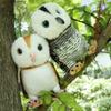 Plush Toy Duo Plushie Cartoon Anime Owl Doll Soft Stuffed Animal Children Birthday Gift Room Decoration
