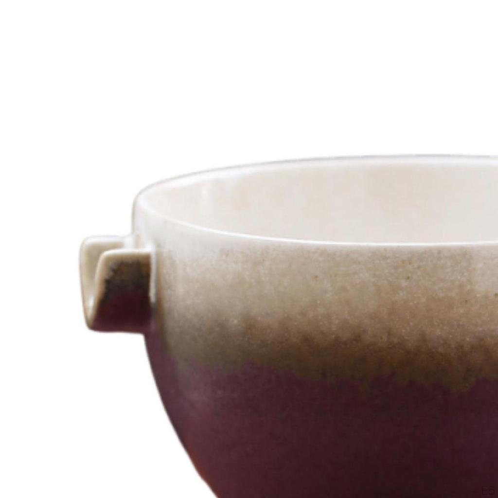 350 мл Чаша для матча, Чаван для чайной церемонии с носиком для взбивания, Друзья, Начинающий