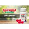 Baidyanath Asli Ayurved Giloy Satwa 40 gm Pack Of 1 Pure Guduchi Satva Immunity Booster Supplement