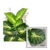 75cm Artificial Palm Evergreen Plastic Turtle Leaf New Fake Plants Leaf  Office