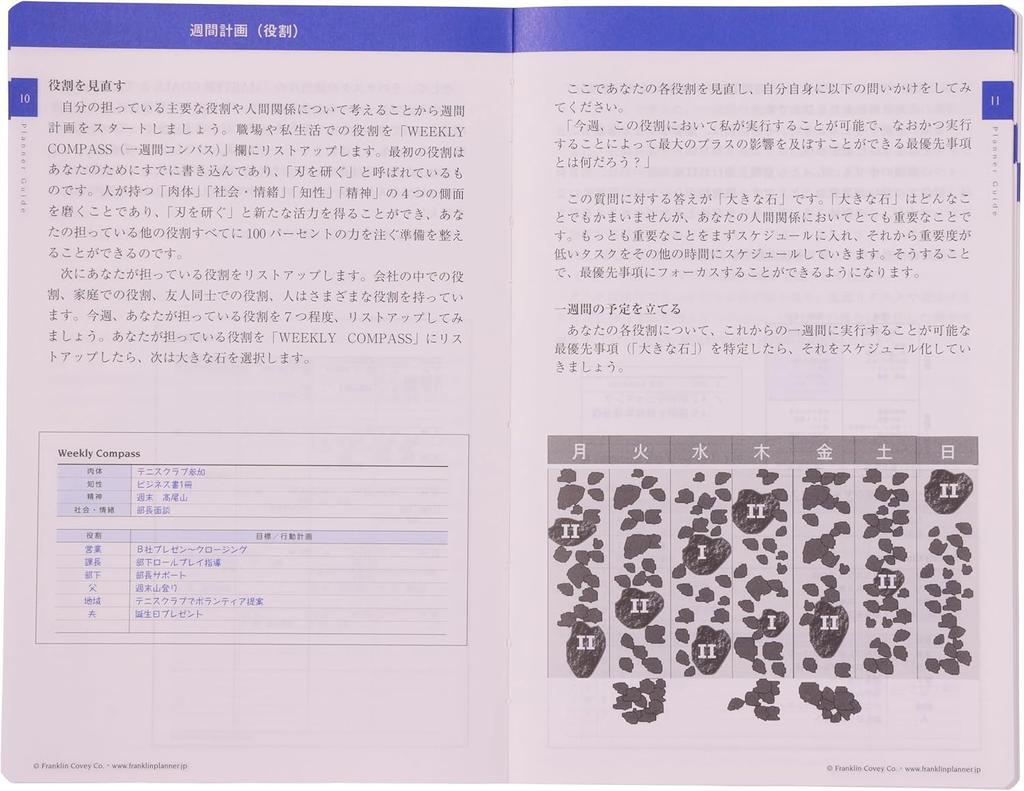 Органайзер Franklin Planner, 1 страница в день, ПВХ, начало с апреля 2025 года, B6, бордовый, 86491