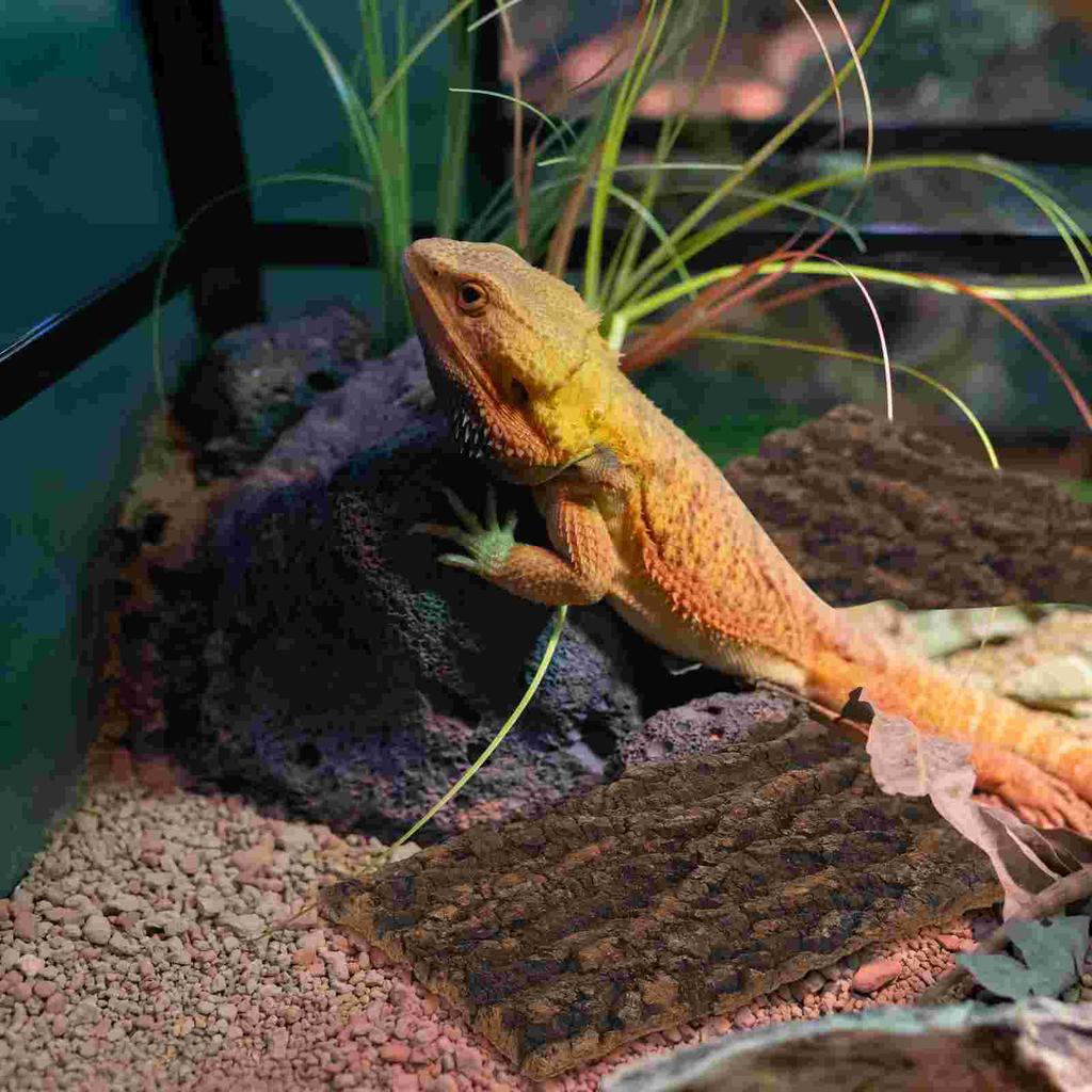 3Pcs Bark Decoration Premium Cork Background Reptile Tank Terrarium Decorative Nament Fish Tank Accessory Bark Reptile Supply