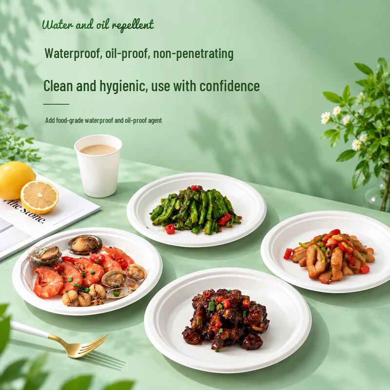 Handun Eco-Friendly Sugarcane Bagasse Disposable Tableware