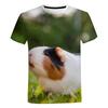 Guinea Pig T-Shirts Hamster Cute Animal 3D Printed Streetwear Men Women Fashion Oversized T Shirt Kid Tees Tops Clothing Shirts