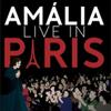 Amalia Rodrigues Live In Paris  bobIno   Olympia 