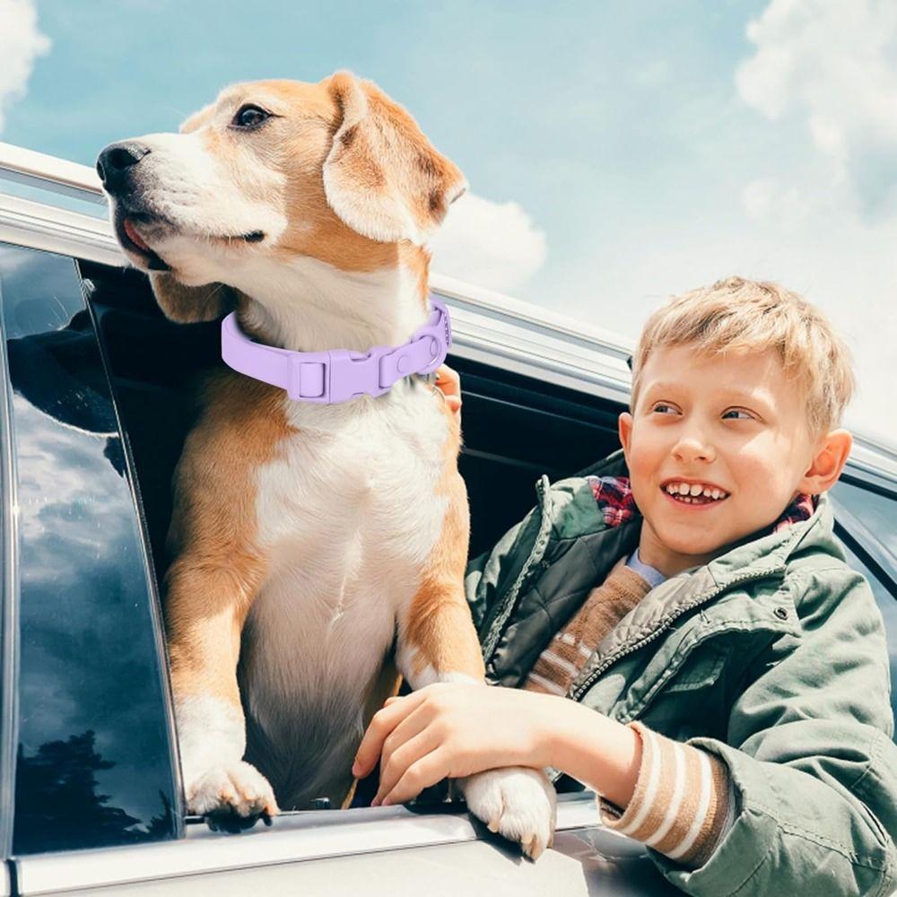 Adjustable Waterproof Dog Collar Pet Identification Safety Buckle Chain Cute Pet Collar Outdoor