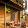 Hanging Flower Pot Plastic Hanging Planter for Balcony Garden Courtyard Small Space Greenery Display Succulents Ferns Herbs