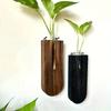 Деревянные подвесные кашпо Богемия Настенный террариум для размножения растений Ваза-пробирка для цветов с деревянной подставкой, комнатный пропагатор для растений