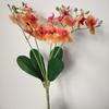 5 Heads Simulation Orchid Flowers Realistic Faux Phalaenopsis Fake Flower  Home Living Room Decor