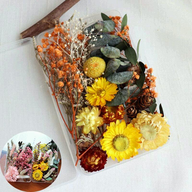 Сушеные цветы, 1 коробка, настоящая подвеска из смолы, эпоксидная смола, ремесленные украшения для искусства «сделай сам»