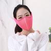 Plush Thermal Earmuffs Mask Warm Ear Warmer Winter Fleece Winter Mask