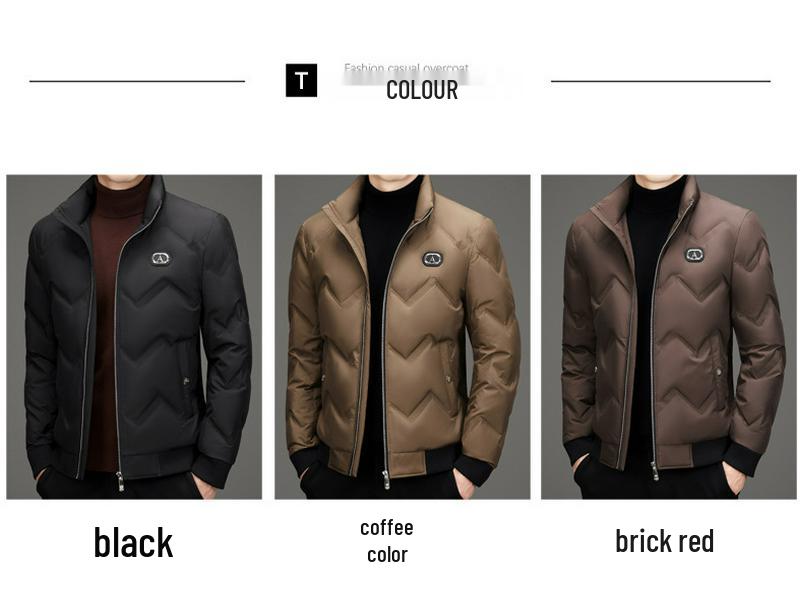 Мужская зимняя пуховая куртка с воротником-стойкой - Модная, универсальная, повседневная короткая верхняя одежда на белом утином пуху в стиле папы