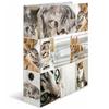 Herma Animals Motif File A4 (Cats)