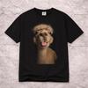 Cheeky Llama Tongue Out T Shirt, Photorealistic Animal Portrait Tee