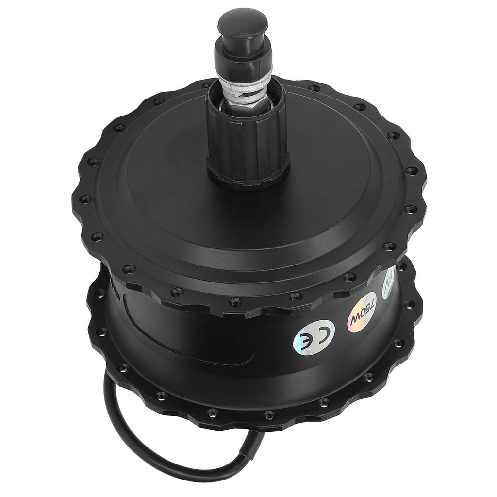 48V 750W Electric Bicycle Hub Motor Professional Rear Drive Cassette Toothed High Torsion Electric