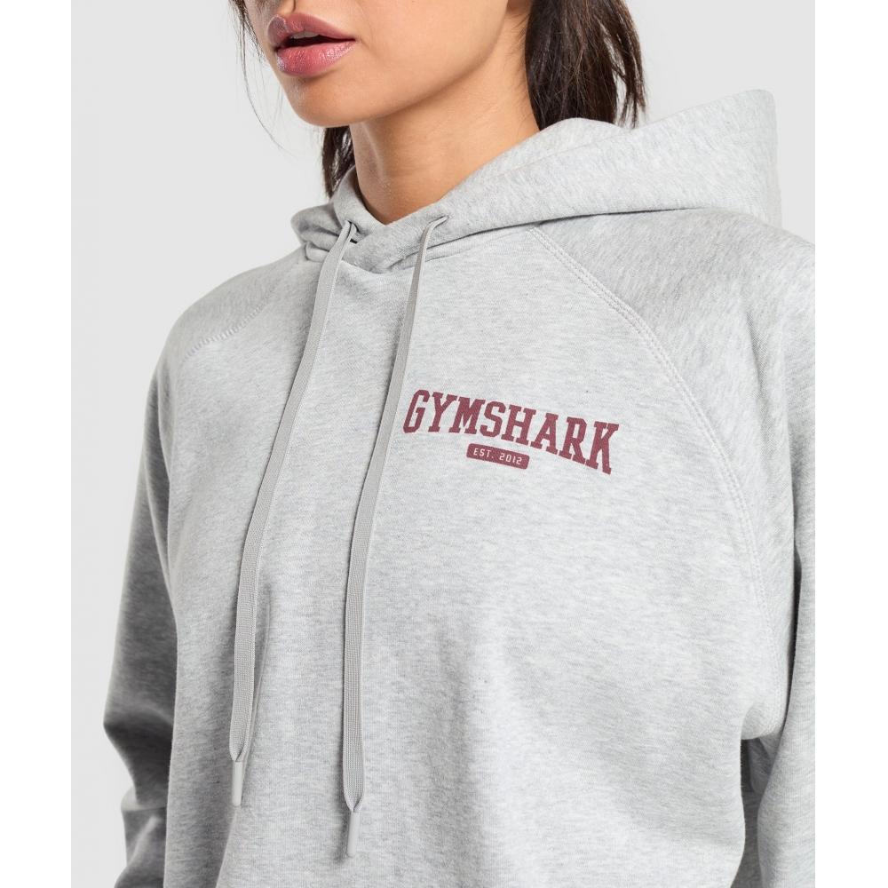 Gymshark Collegiate Lifestyle Hoodie Light Grey Core Marl B2c1c Gbcn