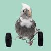 Игрушка-баланс с попугаем, мини-двухрядные роликовые коньки, интерактивная обучающая игрушка для домашних животных, маленькие птицы, вращающиеся колеса, велосипед для птиц