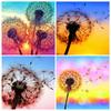 Diamond Painting Kit Flower Landscape 5D DIY Diamond Embroidery Sale Dandelion Pictures Of Rhinestones Handicraft