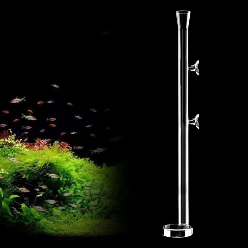 Кормушка с круглой кормовой пластиной — универсальные креветки для домашнего использования