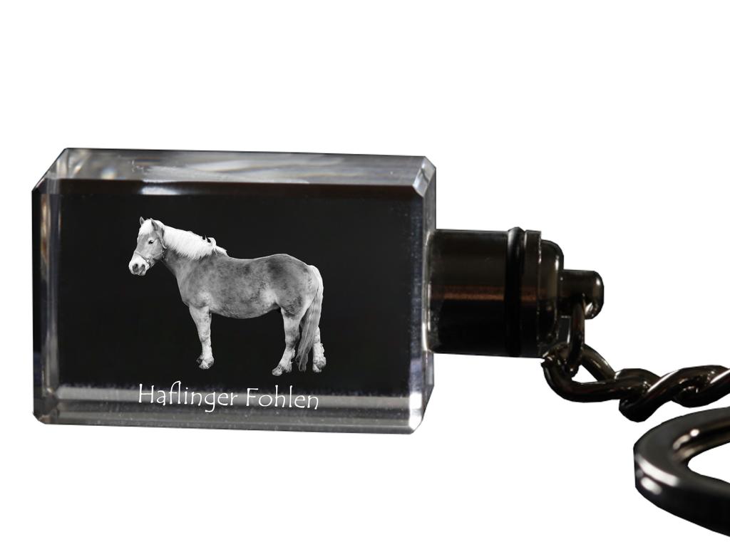 Haflinger Fohlen - Crystal Pendant with Photo of a Horse, Illuminated Pendant, Unique Gift by Art-Dog Brand