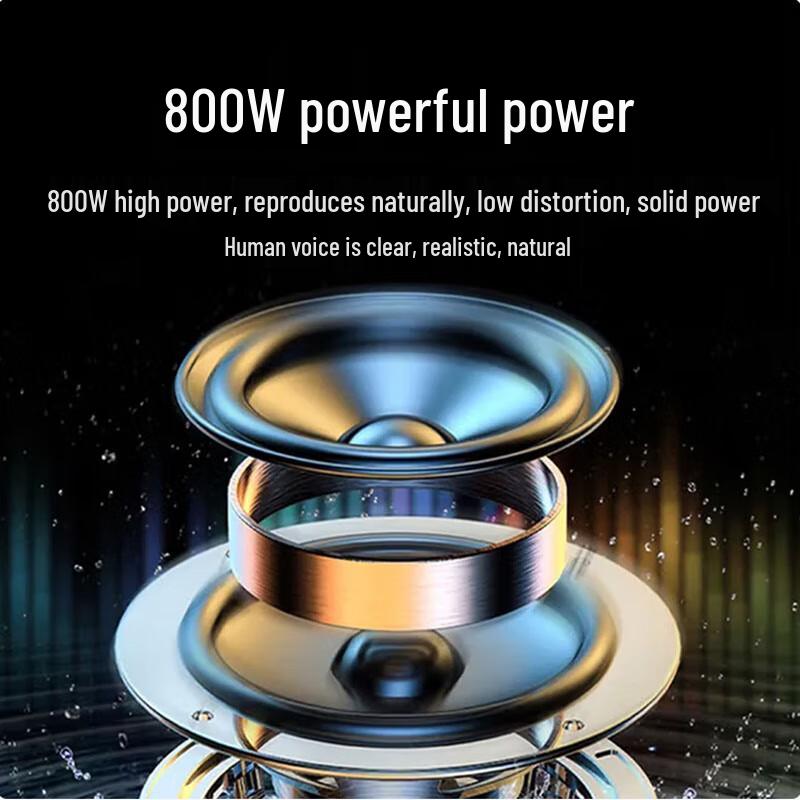 Huidu Professional 8-inch Conference Speaker CN plug (adapter included)